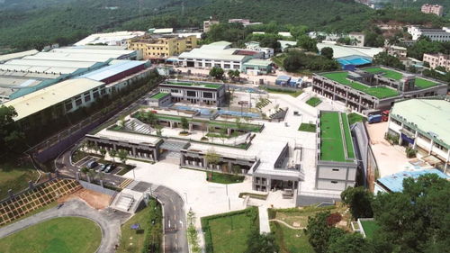 在深圳,遇见一所真正的绿色学校