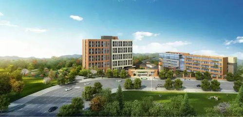 新消息丨重庆市御龙天峰十八中学正式招生啦,面向全市小学毕业生