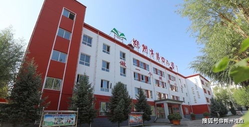 思想开花 作文何难 著名儿童文学作家叶刚莅临朔州市第四小学公益讲学