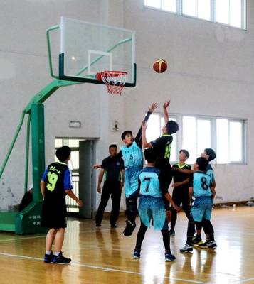 【喜报】热烈祝贺我校男子篮球队在鹿城区小学生篮球比赛中夺得冠军,女子篮球队夺得殿军