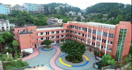 扎根大地 点亮乡村教师幸福蝶变之路