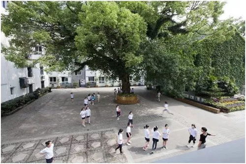 改革开放40周年 温州文明巡礼 文明校园篇