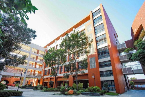 佛山市北外附校2021年小学初中秋季招生公告