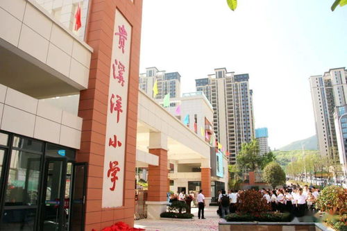 正式揭牌 这是三明市区建筑面积最大的小学
