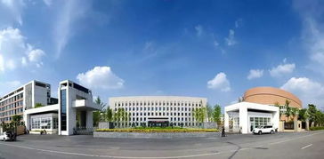 忙,硬扛 看这个德育老师如何 二次创业