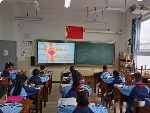 护航陶子心理健康,我们在行动 温州市鹿城区瓯越小学5月心理健康教育周 八个一 系列活动