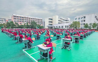 温州一小学举办首届书法节 400余名学子同台展书法魅力