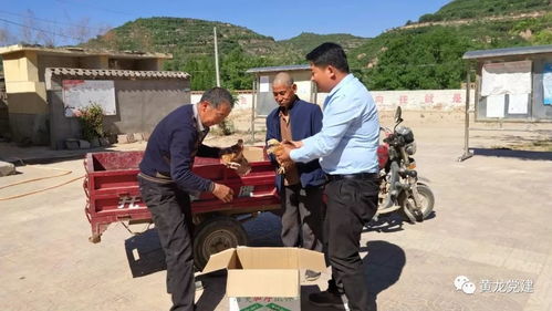 基层党建工作进行时——温州市黄龙第一小学党建引领教育发展新探索