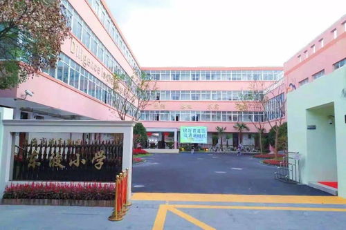 浦教速递 教育头条丨浦东第28个教育集团揭牌成立,来看成员校都有谁