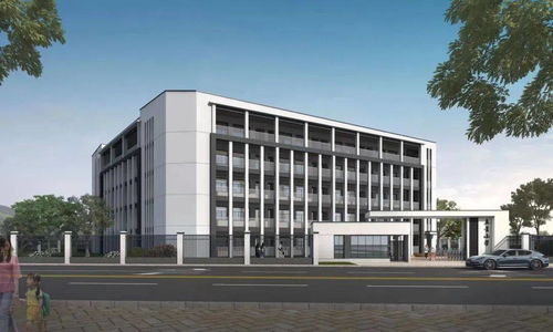 学在温州丨今年将新改扩建143所中小学 我市教育基础设施建设加速加力