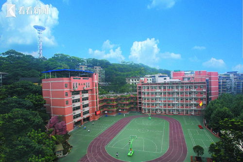 重庆一小学装修后学生出现不良症状 温州市黄龙第一小学事件调查组成立