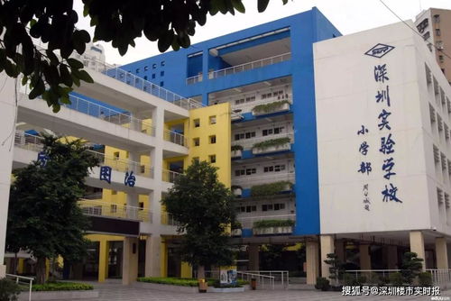 深圳市公立小学排行与温州市黄龙第一小学简介