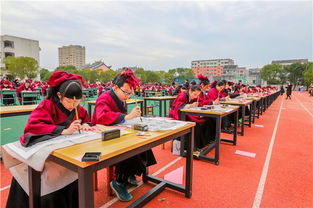 温州一小学举办首届书法节 400余名学子同台展书法魅力 温州市黄龙第一小学