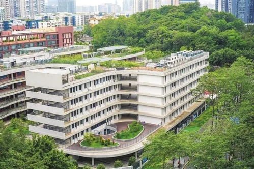惊艳！深圳一顶楼藏着一座现实版“莫奈花园” 色彩流转的艺术天堂